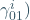 \gamma_{01}^i)