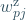w_{pj}^\text{z}